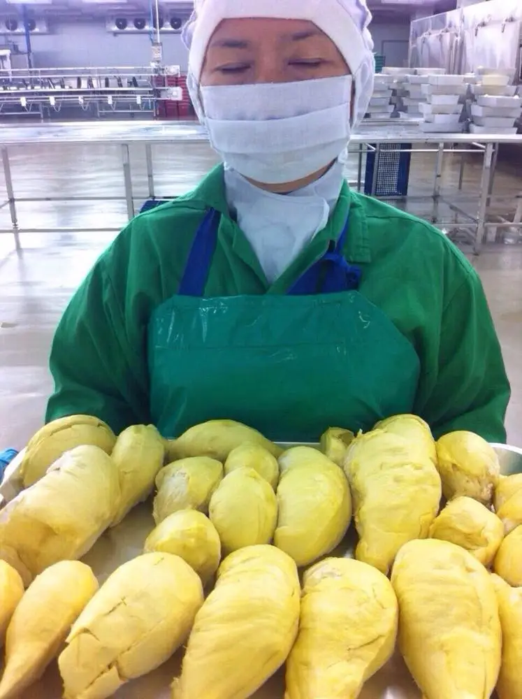  Свежий/замороженный дуриан лучшего качества из Вьетнама экспорт замороженного дуриана с семян по конкурентоспособной цене