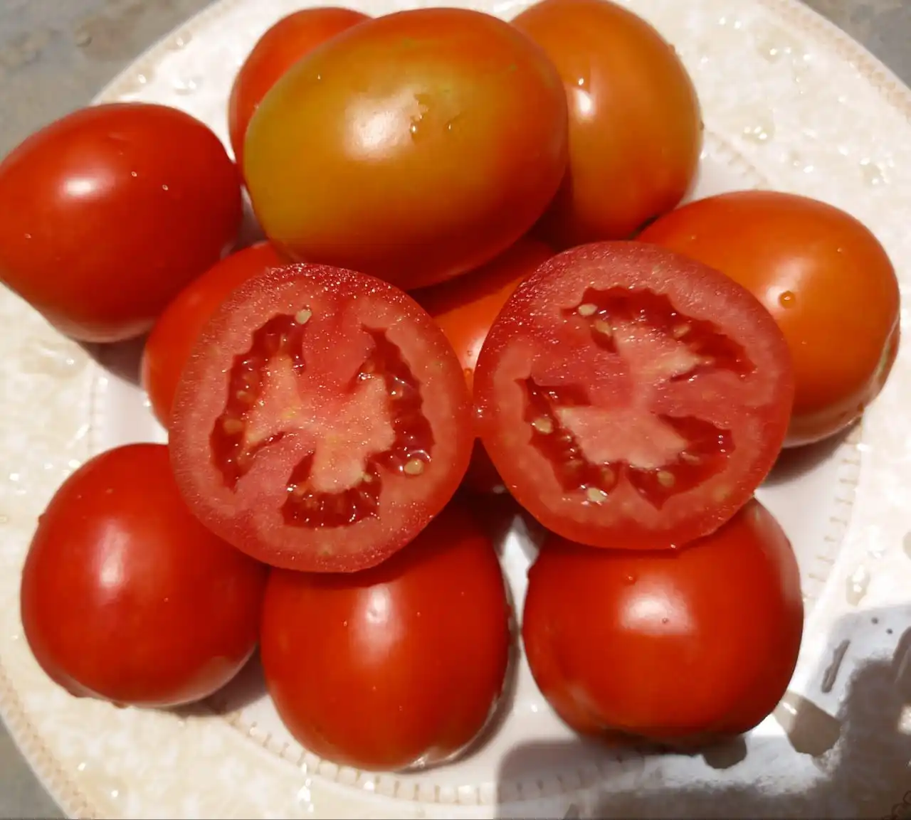 
CAMEROON PLANTATION HYBRID TOMATO SEEDS DISEASES RESISTANCE 