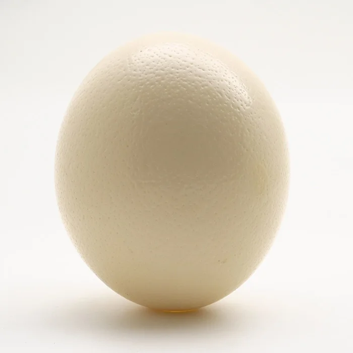 Страусиные яйца