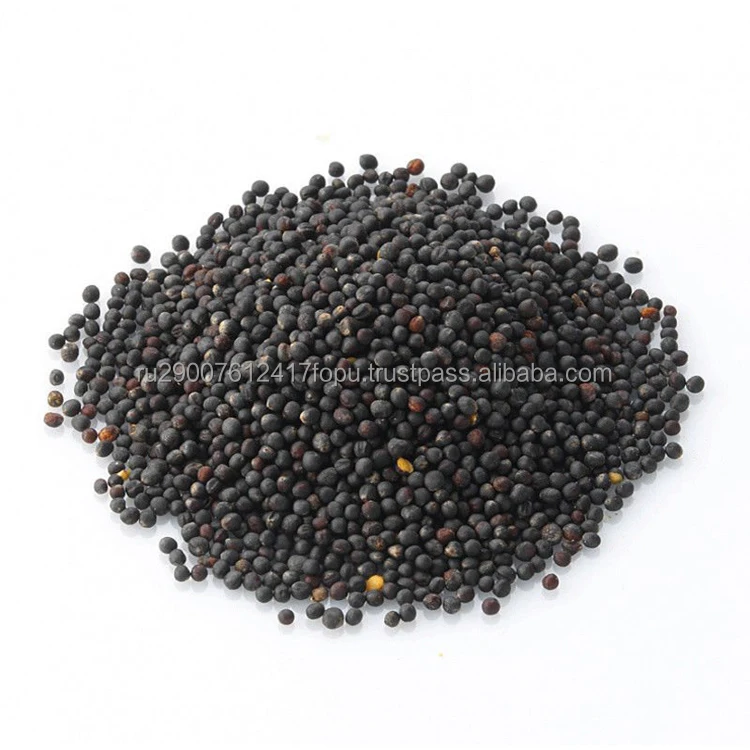 Wholesale rapeseed agricultural crop for solving feeding problems added to combined animal feed, rapeseed