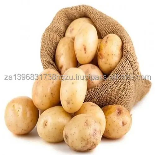Свежий картофель/желтый Картофель/свежий ирландский картофель.