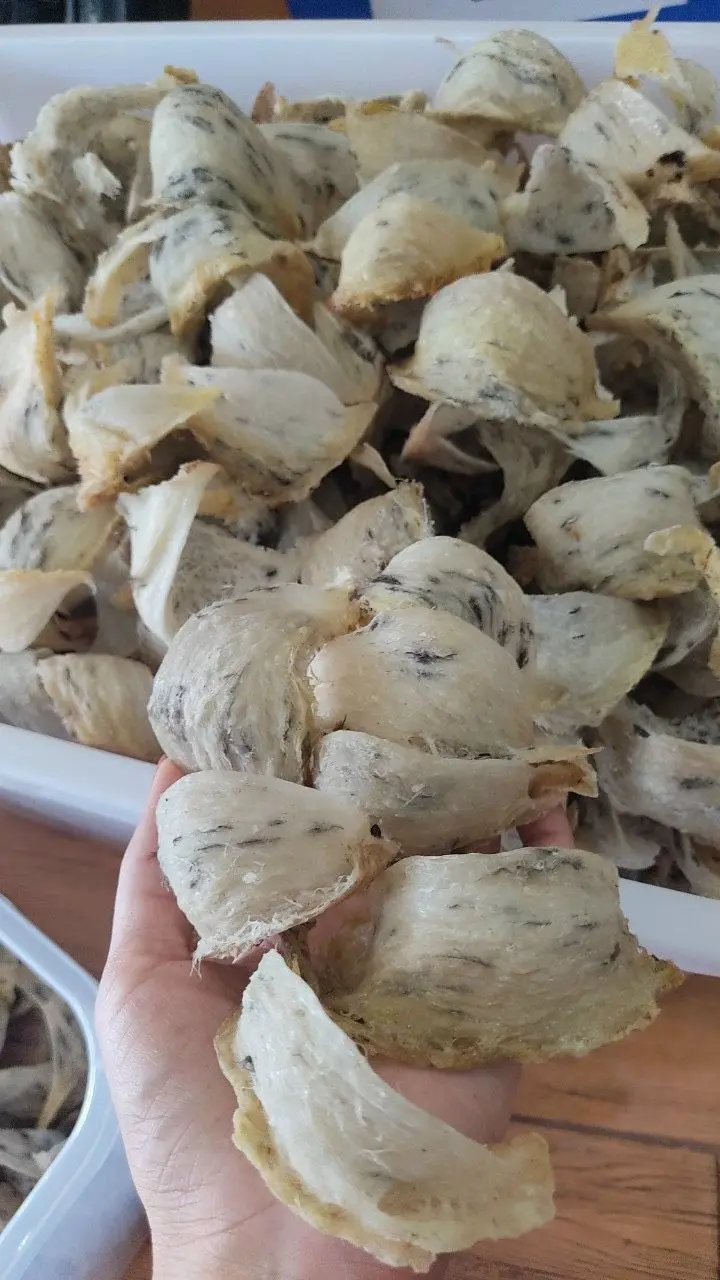 Оптовая продажа сухое сырье премиум качества низкий уровень жира органический класс 100% чистый съедобный белок птичье гнездо коробка