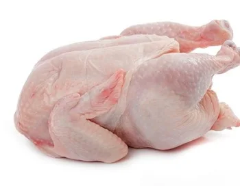 Halal Frozen Chicken Thighs