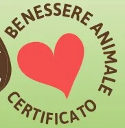 DOUBLE PACK Made in Italy organic tomatoes sauce quality traditional TOMATO PUREE 700gr