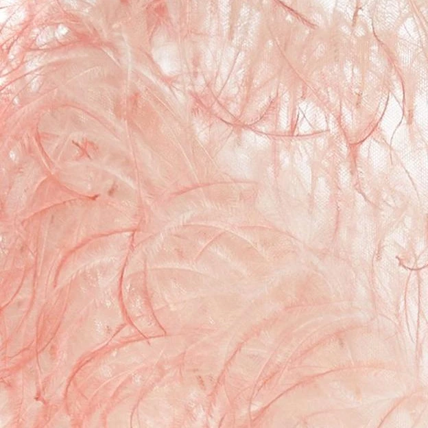 Eco-friendly DIY Wholesale Ostrich Feathers Crafts Supplier High Prime Quality Promotional Pink Ostrich Feather For carnival