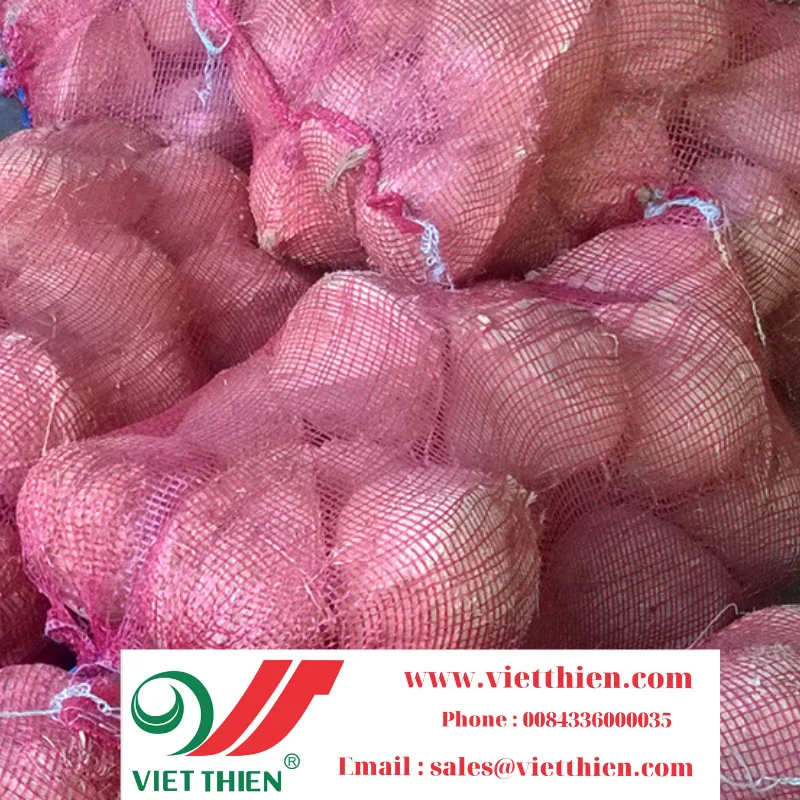 Dried coconut provides large quantities with clear origin at reasonable prices to ensure prestige and quality for consumers