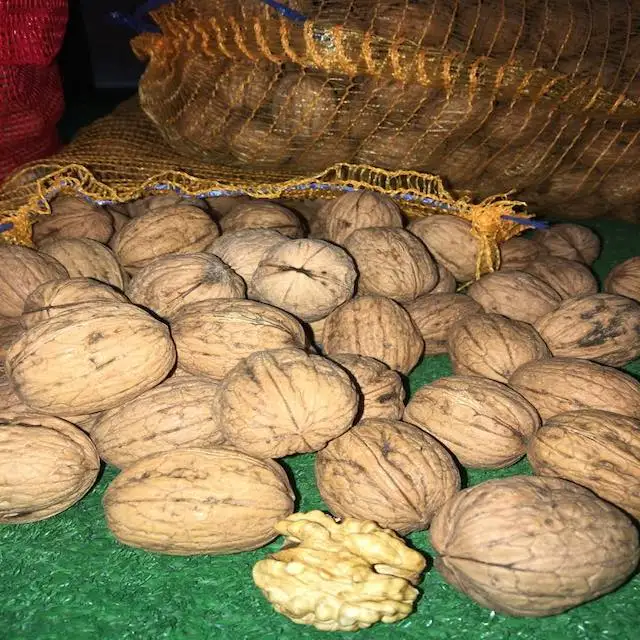 
Buy Best Quality Walnut Online | Buy Walnuts Wholesale 