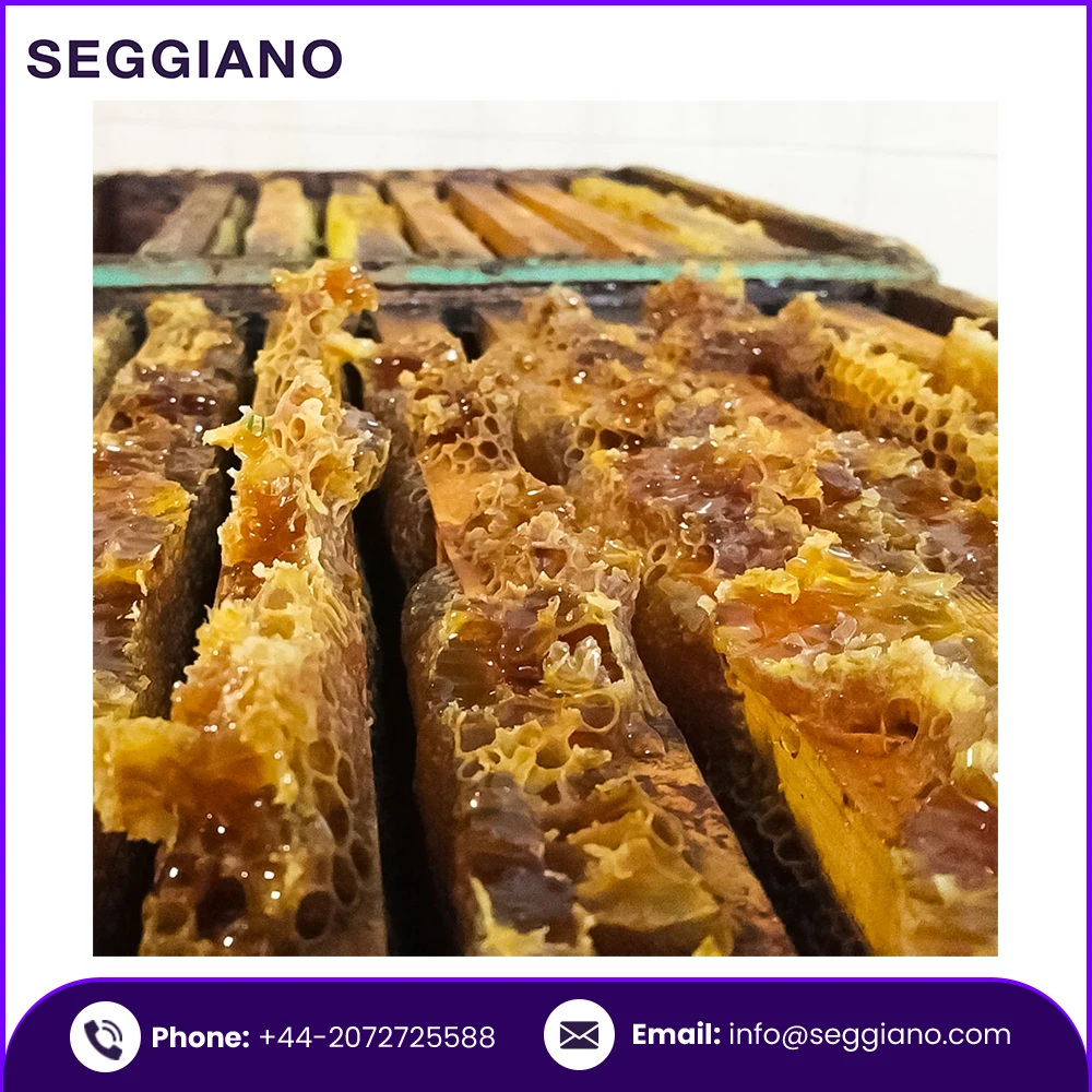 Wholesale Bulk Supply 100% Pure Seggiano Eucalyptus Raw Honey 500g