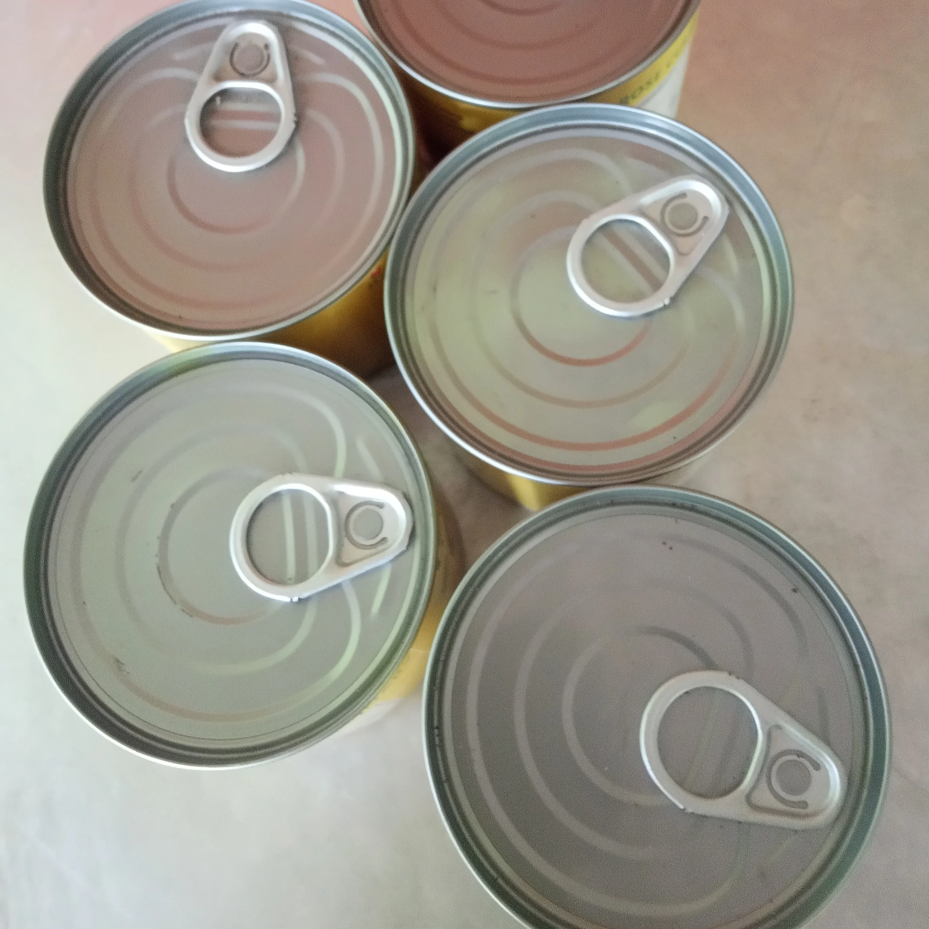 Catfish meat canned frozen from Indonesia