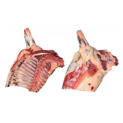 Wholesale Best Price Supplier of Frozen / Fresh Beef Forequarter, Frozen Beef Cut fore-quarter, Beef Meat with Fast Delivery