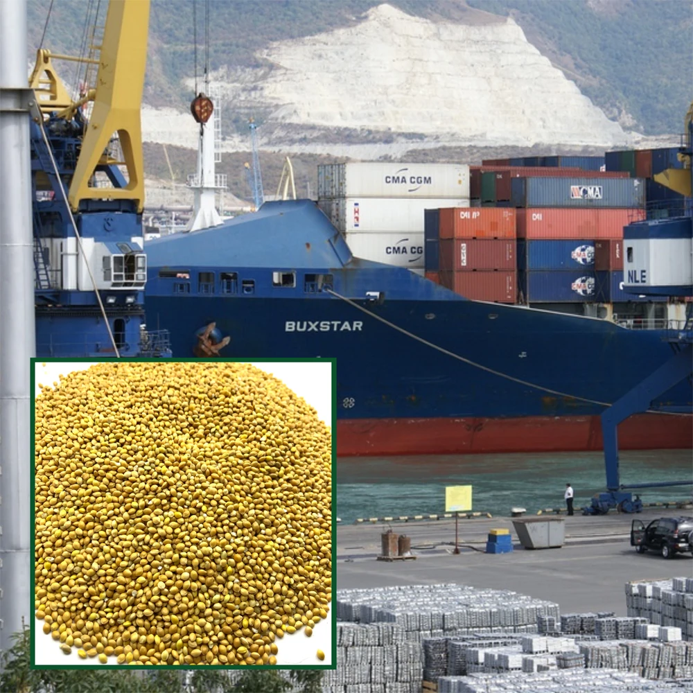 Высококачественные органические пакеты из проса 25 кг, продукт из России