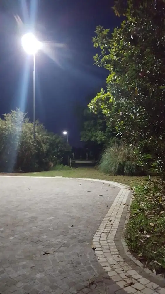 Whole Sales Integrated Led Street Light Solar Luminarias Solares 80w Street Lighting Led Induction Street Lamp With Sensor