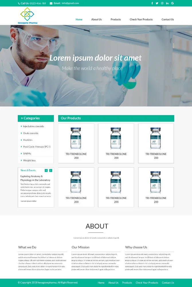 Wordpress Theme Website Design and Development with Plugin Wordpress web developer and designer online payment