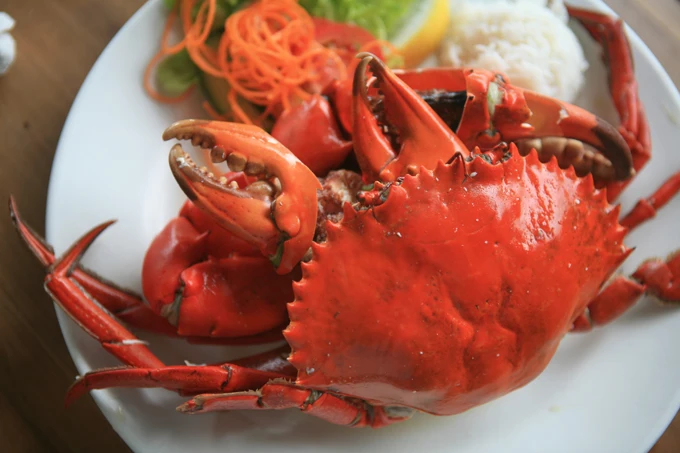 SNOW CRAB CLUSTERS 680g BAG FROZEN/Alaskan King Crab Leg 6/9 in1kg,Snow crab 3L frozen,Whole