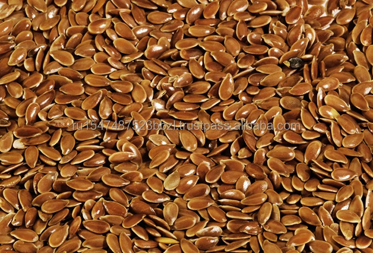 Best quality linseed flax seed organic shipped in 25kg bags, product of Russia, flax seeds linseeds hot sale