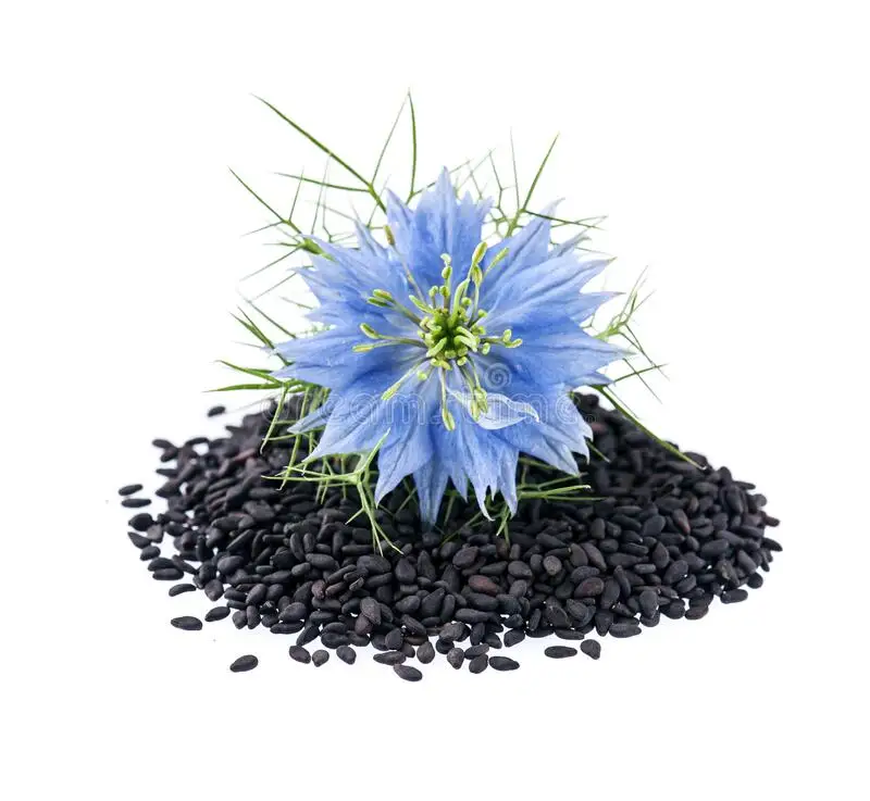 Top Grade Quality Natural Black Pure Natural Of Dried Black Cumin Seed Wholesale Cheap Price From Bangladesh