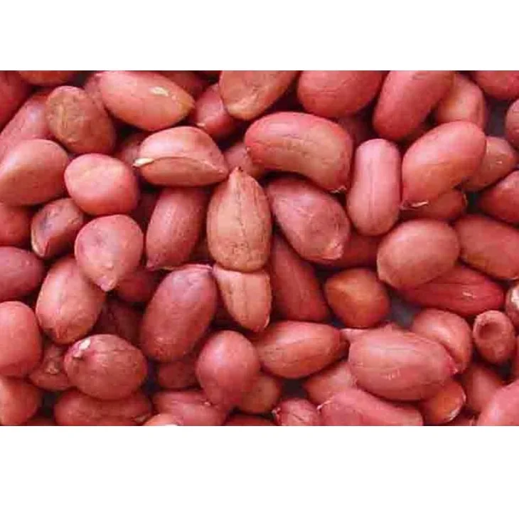 
New crop red skin peanuts kernel 