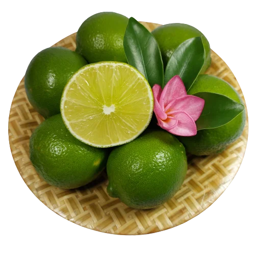 Fresh Green Seedless Lime Best Seller 2022