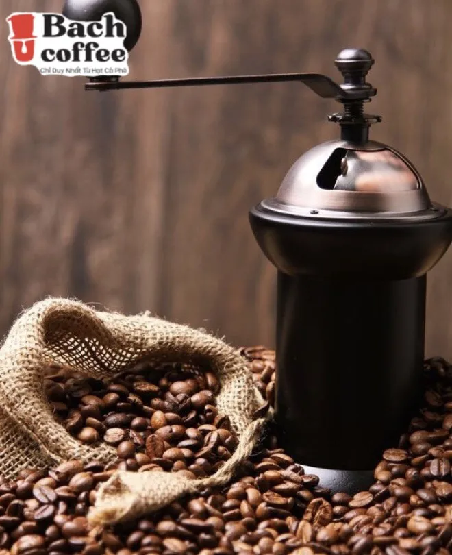 Вьетнамская Органическая кофе-Премиум кофейная смесь 100% ручной сборки-французское обжаренное-кофейные зерна Арабика робуста жареная