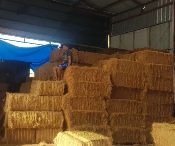 Coco Fiber Supplier - Coco Fiber Manufacturer Indonesia Natural Coco Fiber Best Growing Media Indonesia Cocopeat