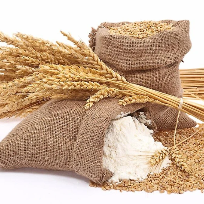 
Turkey factory supply vital wheat gluten 80% flour bulk vital wheat gluten 