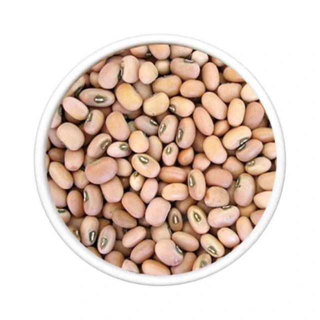 Хорошее качество и Лучшая заводская цена на белую фасоль для продажи