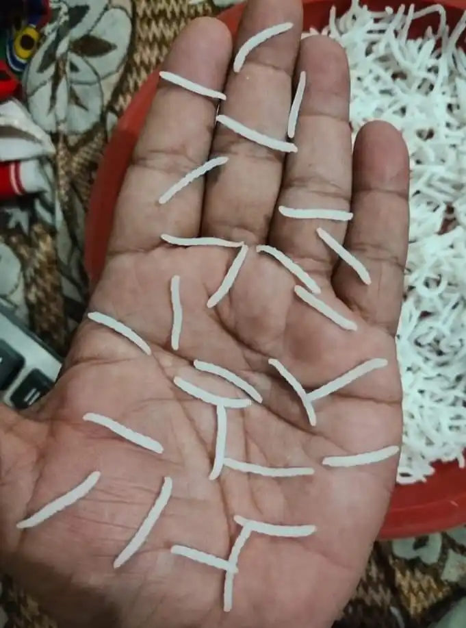 for sell 1121 Basmati Rice from Pakistan Sella 1509