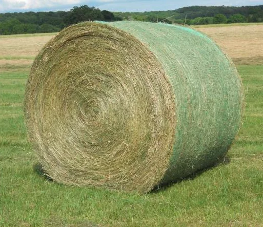 Premium Quality Animal Feed Chickpeas Hay Straw / Chickpea Straw Ready For Export  Best Packaging Competitive Price