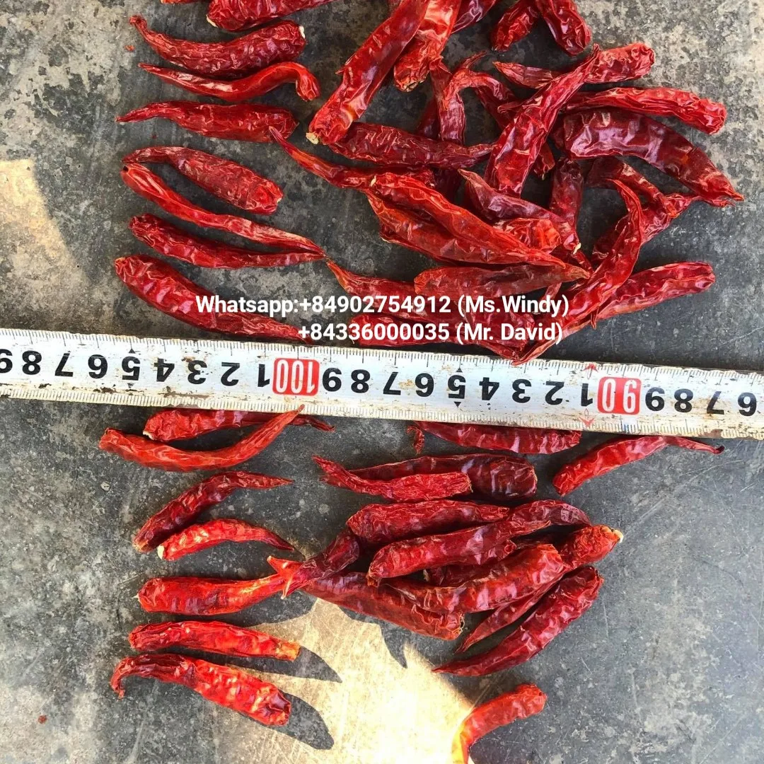High quality and good price wholesale dried chili with export standards from Vietnam