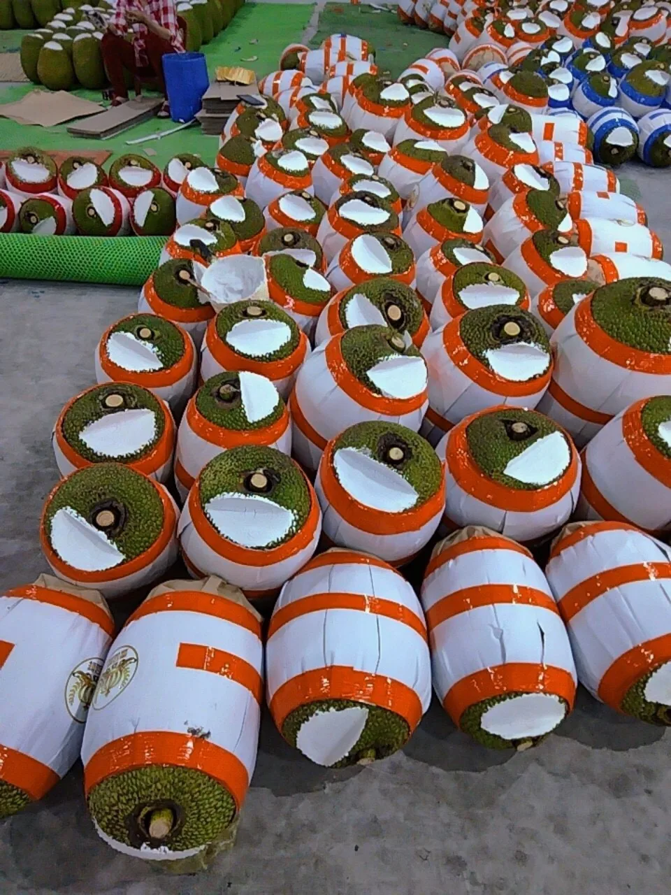 
Vietnam Fresh Jackfruit No chemichals (WS: +84904230236) 