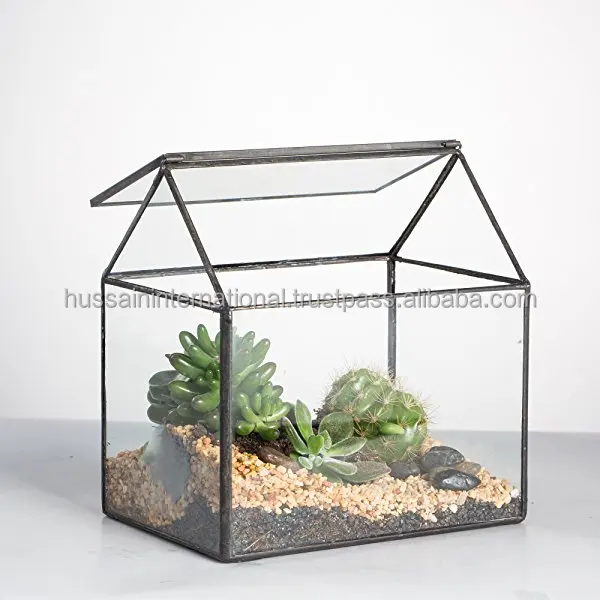 Home Decor Terrarium