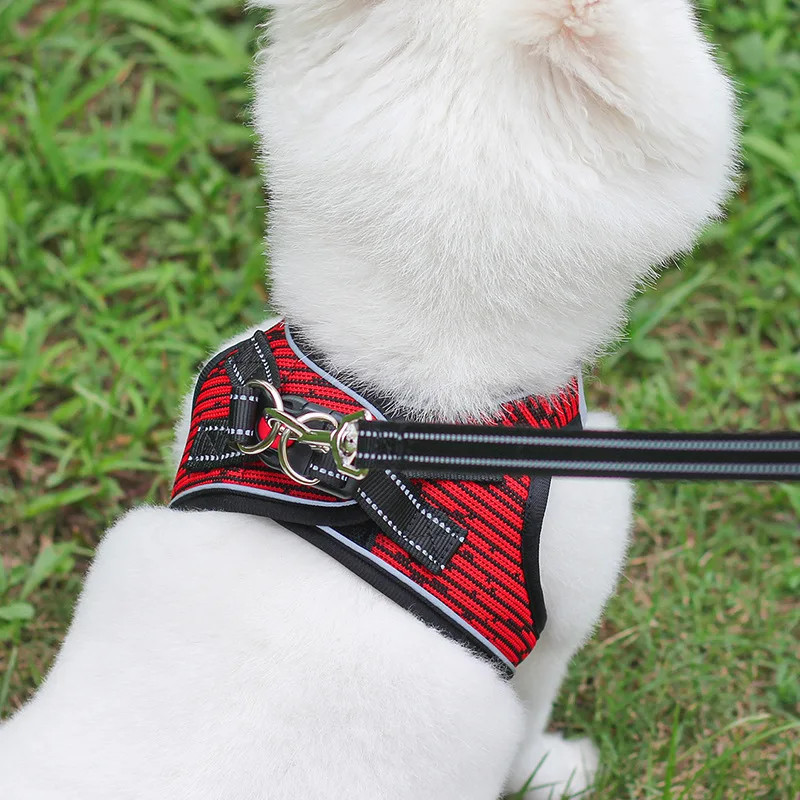 Оптовая продажа роскошный маленький индивидуальный светоотражающий Регулируемый сетчатый жилет для домашних животных