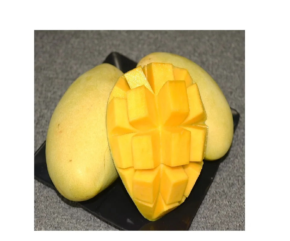 Самый продаваемый известный высококачественный свежий Кот Chu манго Chunk импорт из Вьетнама 2021