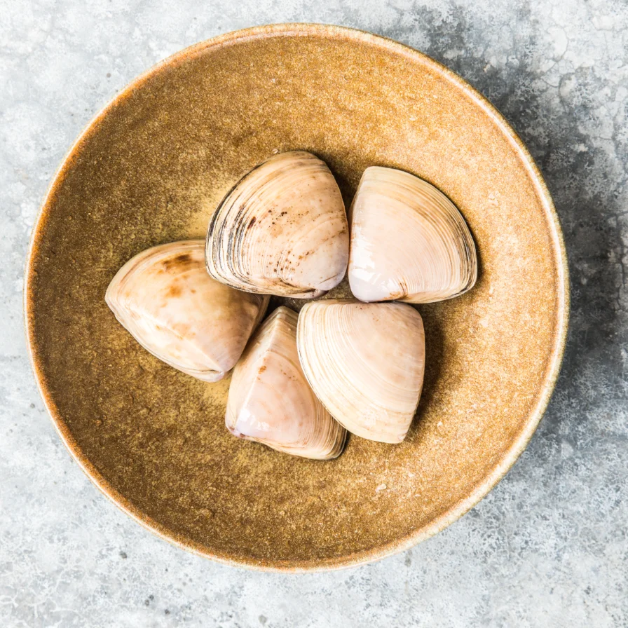 
Live Clams Diamond Shell 15kg Premium Quality New Zealand Seafood 