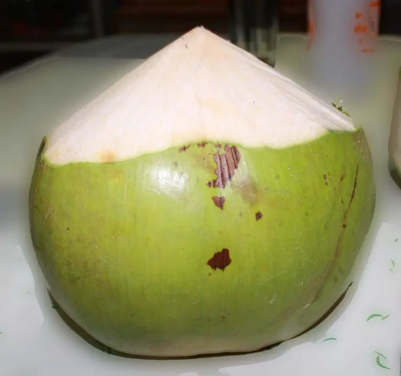 Fresh Young Coconut from Vietnam +84826064364 WS
