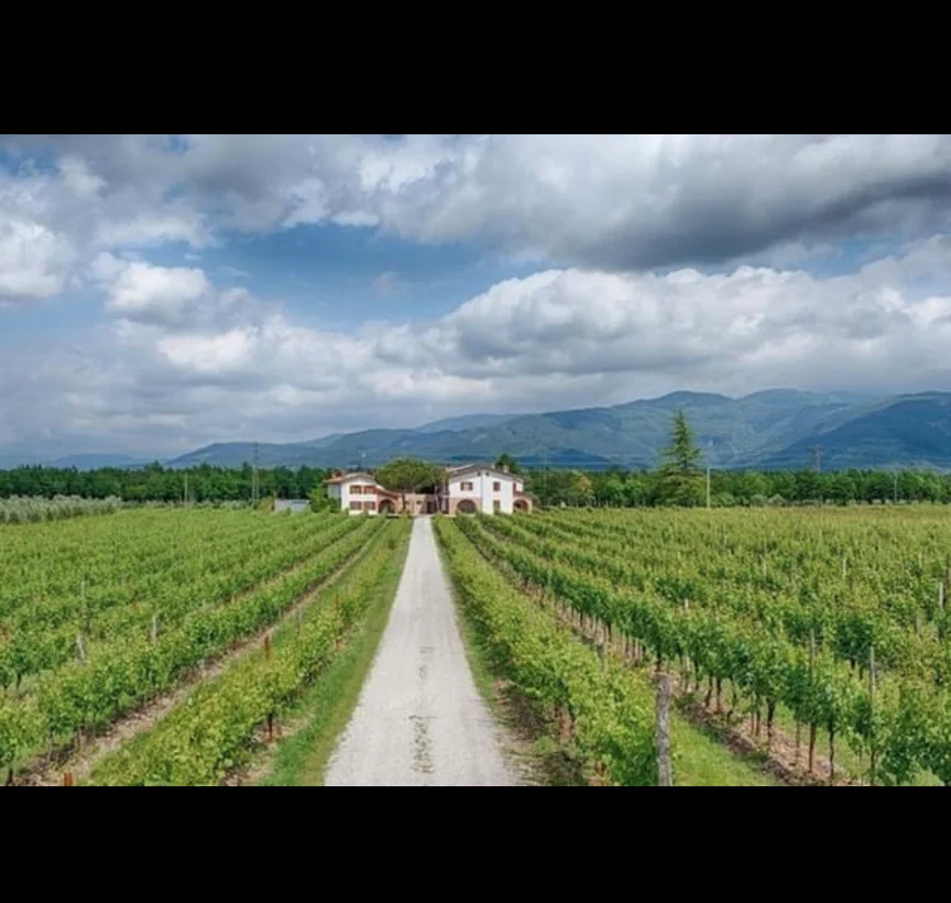 Italian Organic Merlot Red Wine 75 Cl for Dine