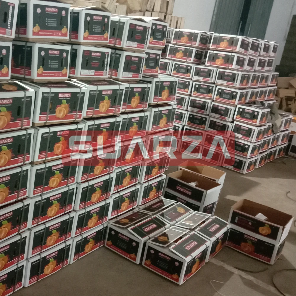 Best Sale High Quality Competitive Price Orange