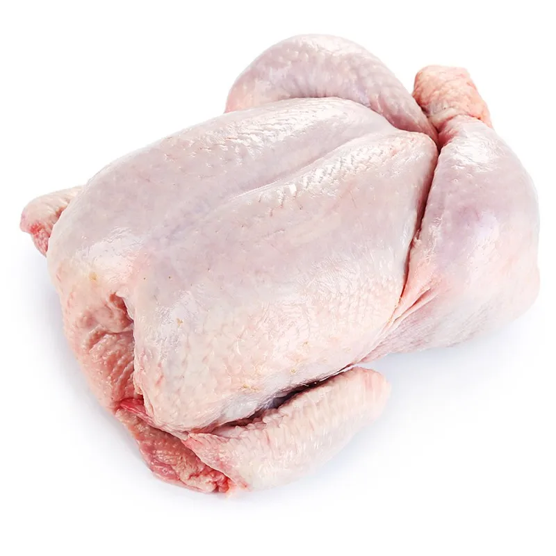 Top Quality Certified Halal Frozen Chicken Parts Feet/ Chicken Wings/ Frozen Whole Chicken