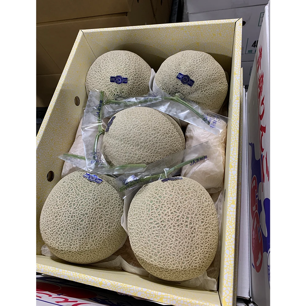 Wholesale fresh characteristics of sweet melon fruit for sale