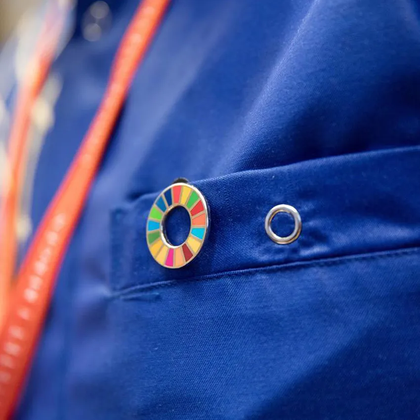 Bulk Sustainable Development Goals custom metal 17 SDGs lapel pin