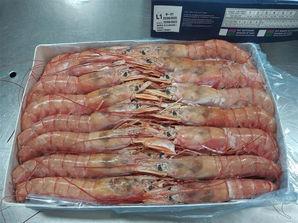 
Best quality best delicious frozen seafood crystal red shrimp for wholesale 