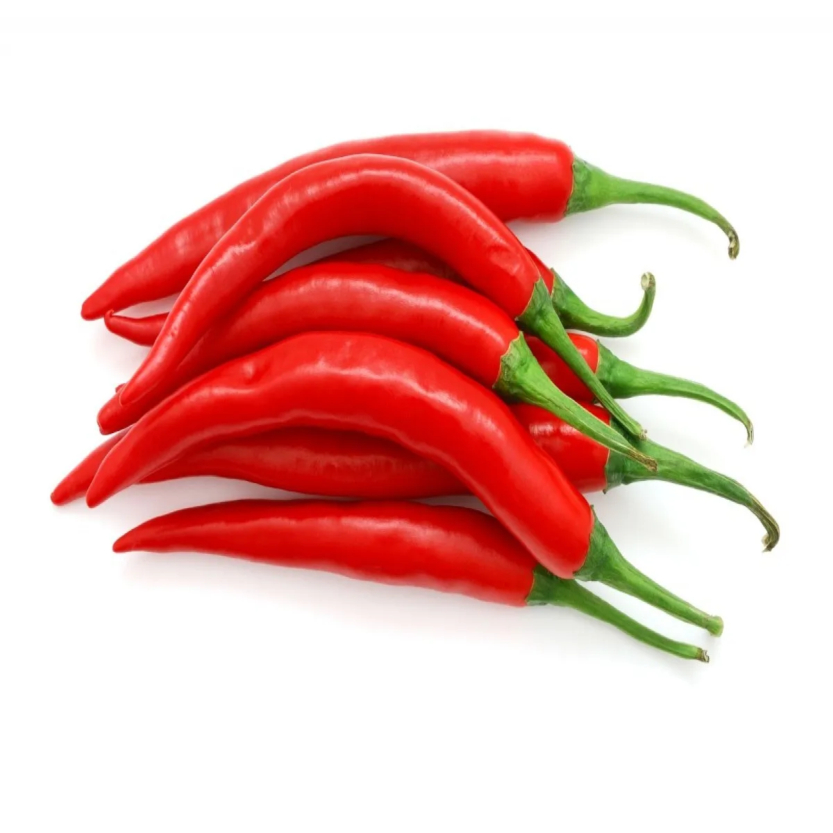 Wholesale red dried chili cayenne pepper chili pepper buyers