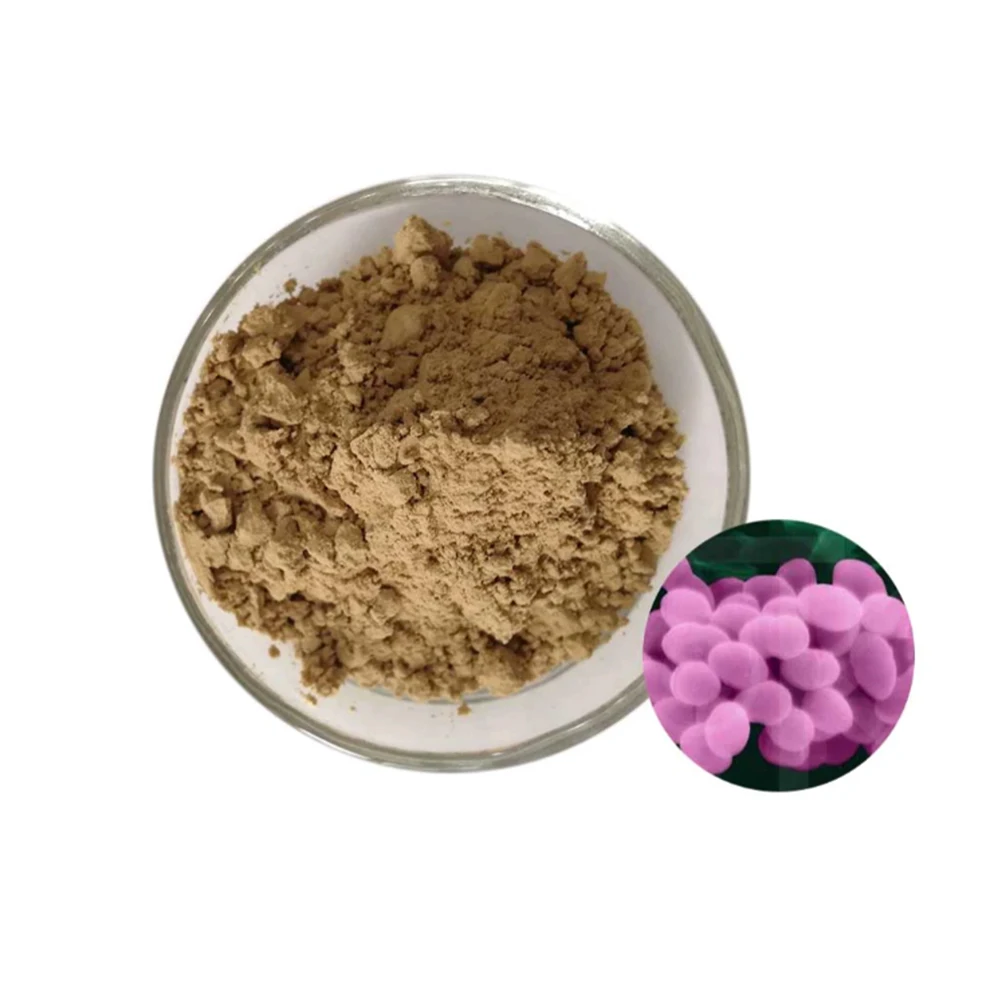 Wholesale Natural Probiotics Bacillus Subtilis Probiotic Powder - Zealmax Biopharma