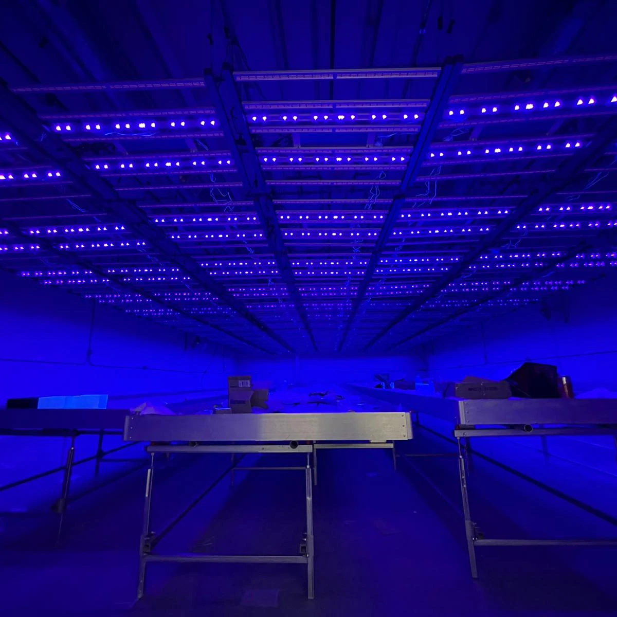 samsung lm301 full spectrum waterproof of wholesale led grow lights 10 inch with samsubg 4000k 800wtt professional large