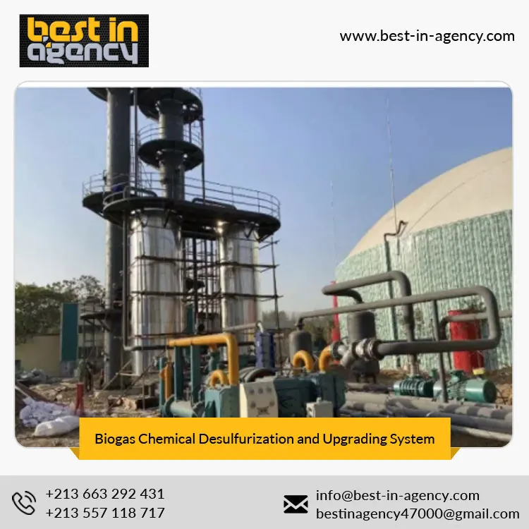 Carbon Removal 97% CH4 Content Biogas Chemical Desulfurization and Upgrading System Natural Gas