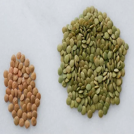 green lentils.jpg
