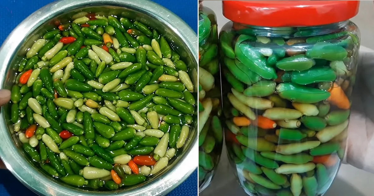 Вьетнамский натуральный зеленый красный перец чили для экспорта лучший в банке WhatsApp + 84-902803631