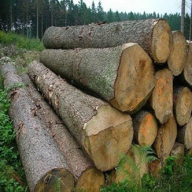 Europe White Oak Bilinga Wood Round Logs For Sale