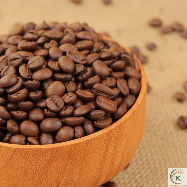  Аутентичный Лучший в мире вьетнамский кофе Arabica по хорошей цене Зеленые зерна оптовая продажа