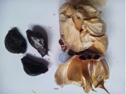 exported to Colombia Fermented Black Garlic Machine